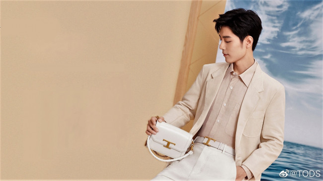 Обои картинки фото мужчины, xiao zhan, пиджак, барсетка, картина, небо, море