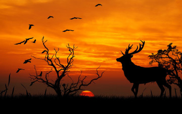 обоя векторная графика, животные , animals, олень, деревья, птицы, закат, силуэты