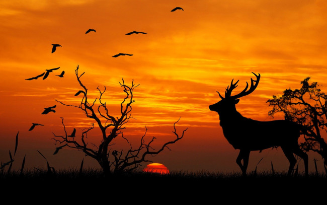 Обои картинки фото векторная графика, животные , animals, олень, деревья, птицы, закат, силуэты