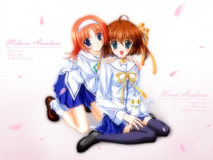 Картинка аниме da capo