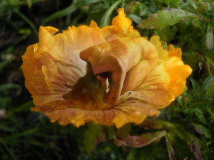 Картинка разное компьютерный дизайн