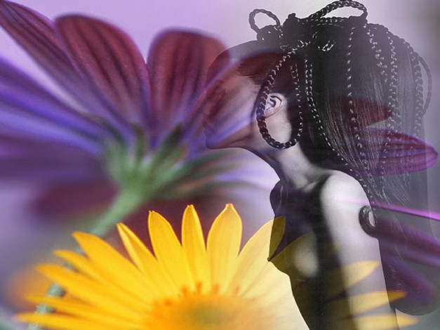 Обои картинки фото разное, компьютерный, дизайн