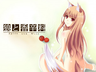 Картинка аниме spice and wolf