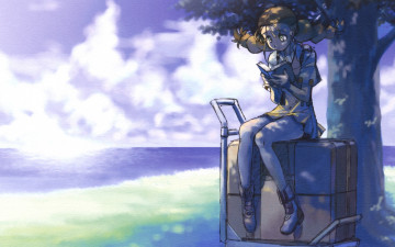 Картинка аниме gun sword