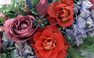 Картинка цветы букеты композиции