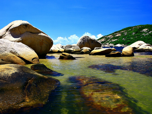 Обои картинки фото 