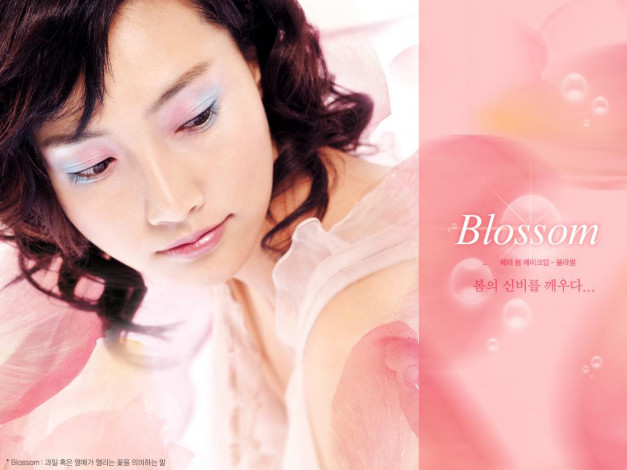 Обои картинки фото бренды, hera