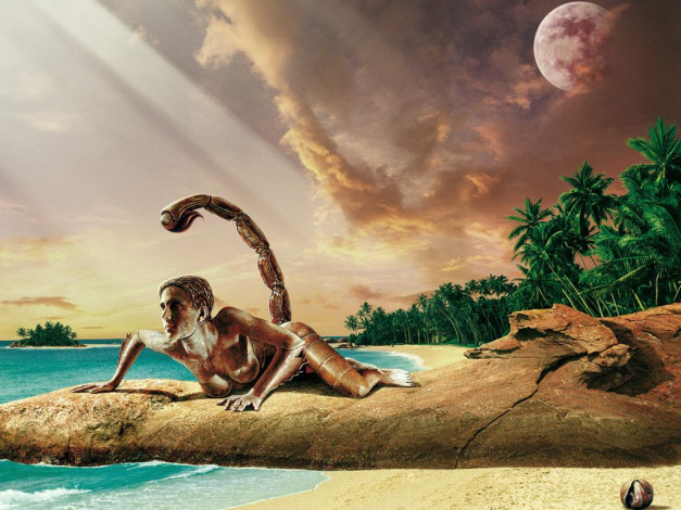 Обои картинки фото скорпион, фэнтези, существа