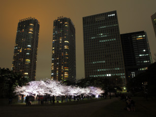 Картинка токио города Япония