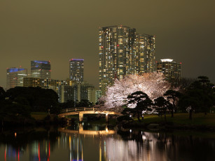 Картинка токио города Япония