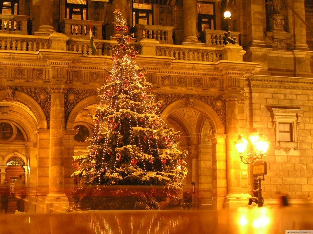 Обои картинки фото праздничные, Ёлки, елка, праздник, огни