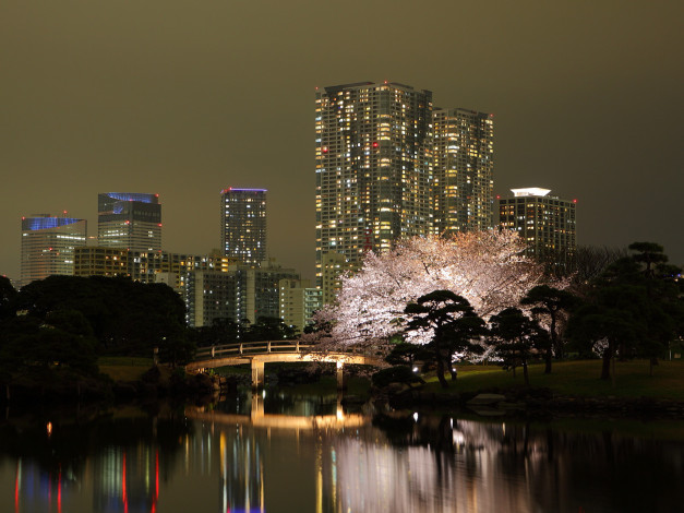 Обои картинки фото токио, города, Япония
