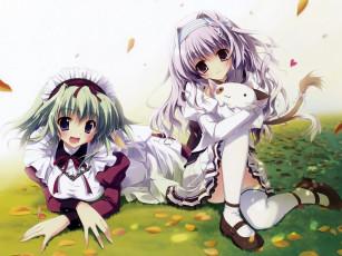 Картинка аниме mashiro iro symphony девушки