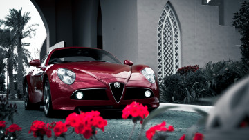 Картинка alfa romeo 8c competizione автомобили fiat group италия