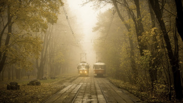 Картинка техника трамваи туман