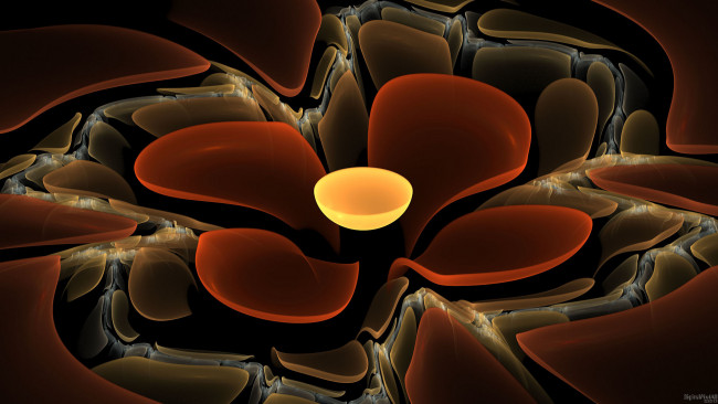 Обои картинки фото 3д, графика, fractal, фракталы, фон, цвета, узор