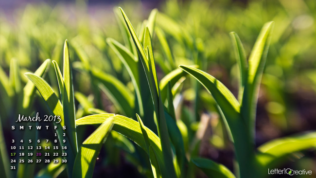 Обои картинки фото календари, природа, трава, макро
