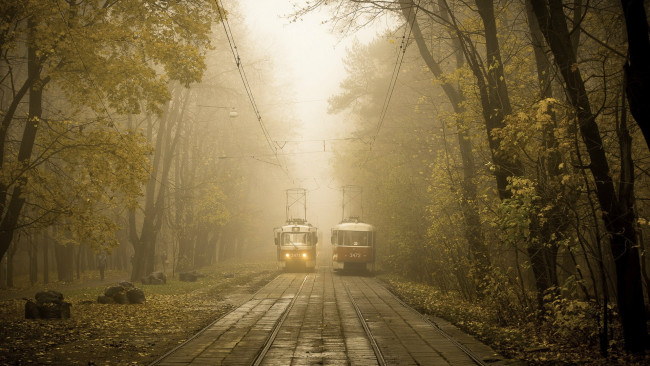 Обои картинки фото техника, трамваи, туман