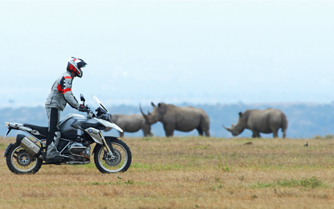 Обои картинки фото мотоциклы, bmw