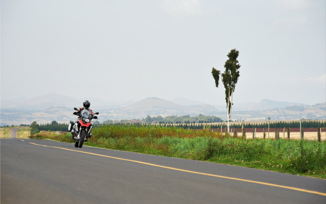 Обои картинки фото мотоциклы, bmw