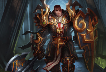 Картинка видео+игры diablo+iii reaper of souls diablo iii щит секира оружие мужчина воин