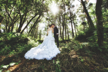 Картинка разное мужчина+женщина лес романтика свадьба пара девушка солнечно деревья свет парень любовь