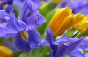 Картинка разное компьютерный+дизайн лепестки клумба природа свет тюльпан ирис рендеринг