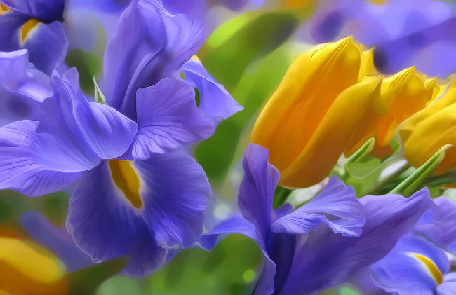 Обои картинки фото разное, компьютерный дизайн, лепестки, клумба, природа, свет, тюльпан, ирис, рендеринг