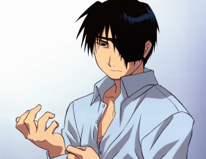 Картинка аниме fullmetal+alchemist стальной алхиик