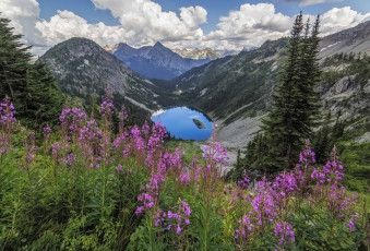 Картинка природа луга простор