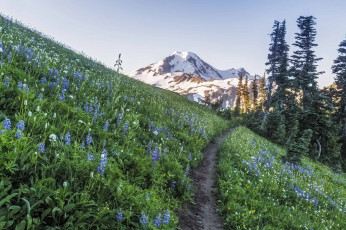 Картинка природа дороги простор