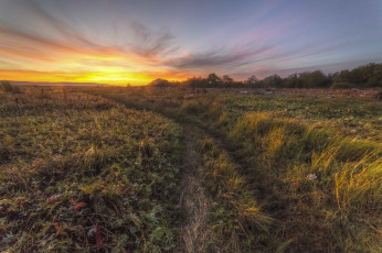 Картинка природа дороги простор