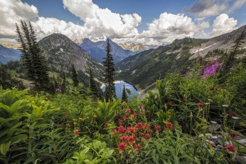 Картинка природа луга простор