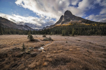 Картинка природа пейзажи простор