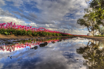 Картинка природа реки озера простор