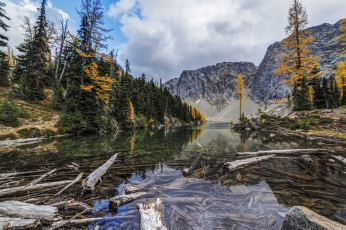 Картинка природа реки озера простор