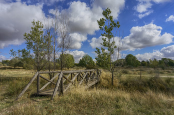 Картинка природа пейзажи простор