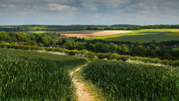 Картинка природа дороги простор