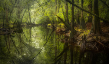 Картинка природа реки озера простор