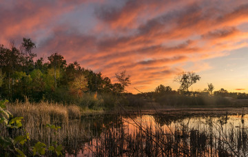 Картинка природа реки озера простор