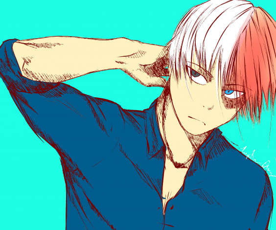 Обои картинки фото аниме, boku no hero academia, тодороки, шото