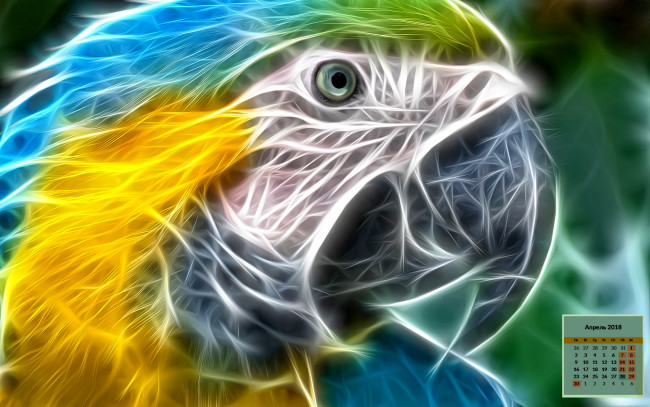 Обои картинки фото календари, рисованные,  векторная графика, 2018, взгляд, попугай
