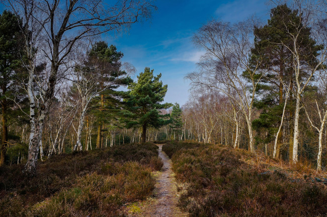 Обои картинки фото природа, дороги, простор