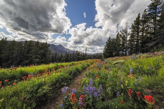 Обои картинки фото природа, дороги, простор