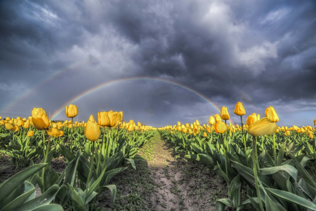 Обои картинки фото природа, поля, простор