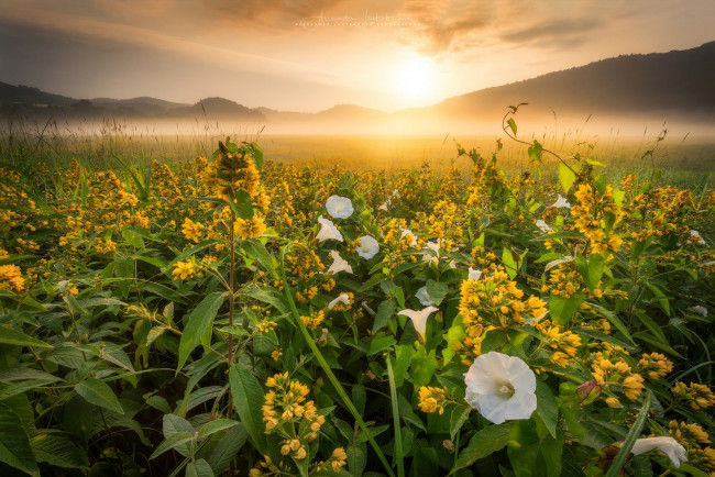 Обои картинки фото природа, восходы, закаты, простор