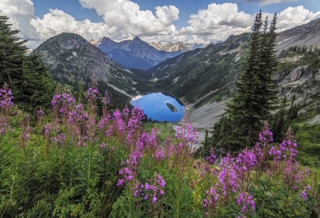 Обои картинки фото природа, луга, простор