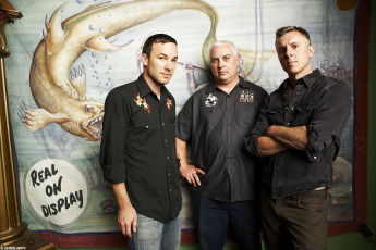 Картинка toadies музыка группа