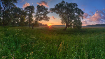 Картинка природа луга лето луг трава цветы