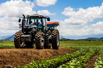Картинка техника тракторы massey ferguson